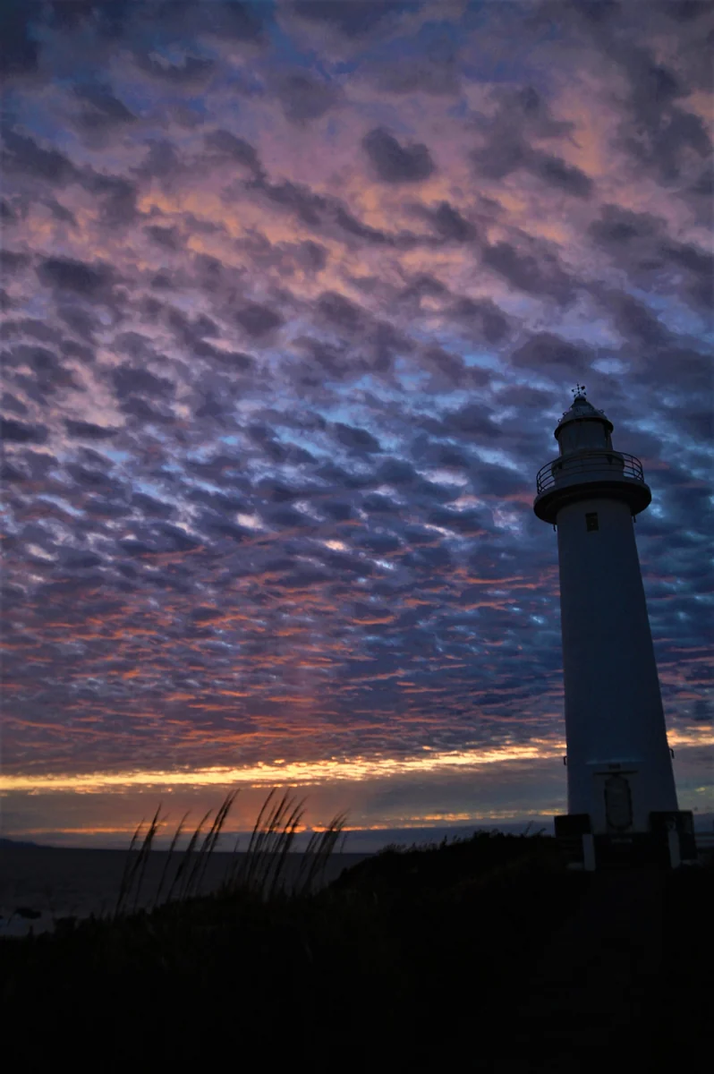 野人さんの投稿写真