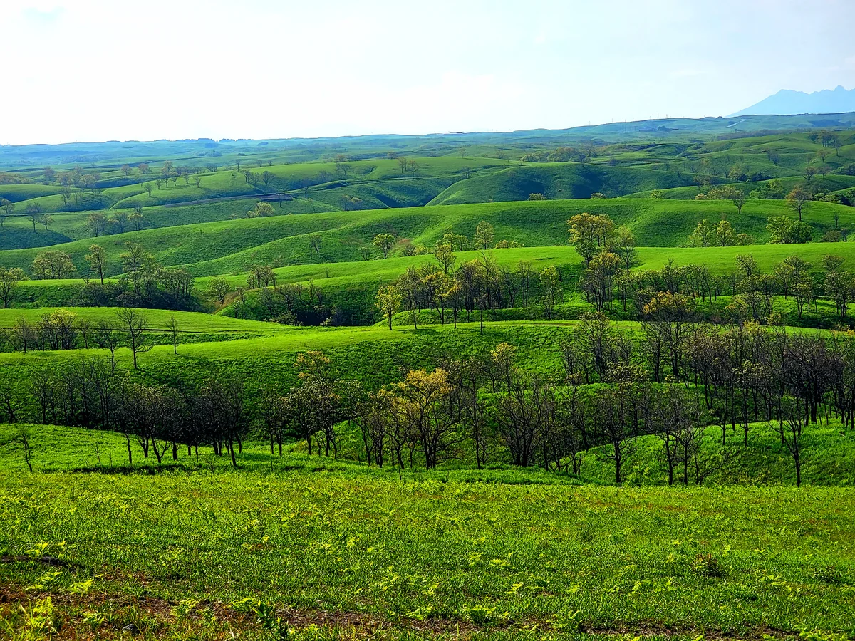 投稿写真：押し戸石の丘