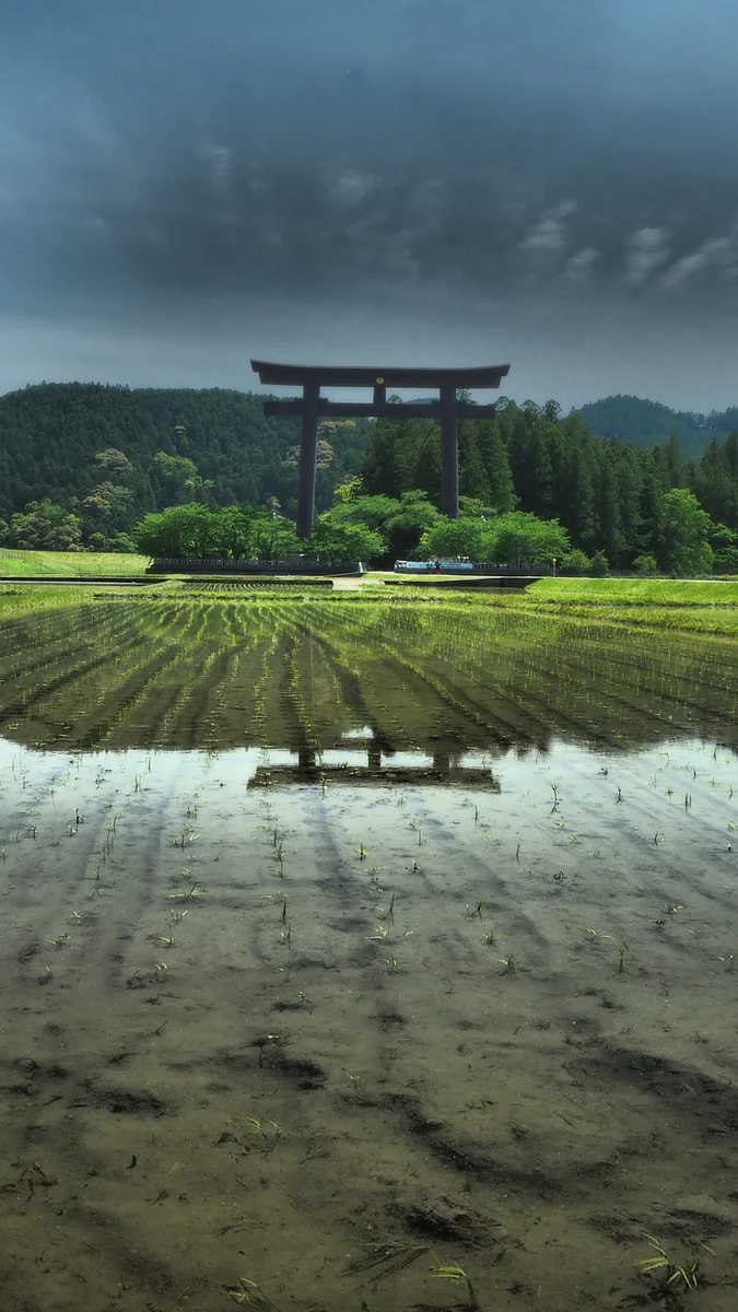 投稿写真：大斎原の鳥居