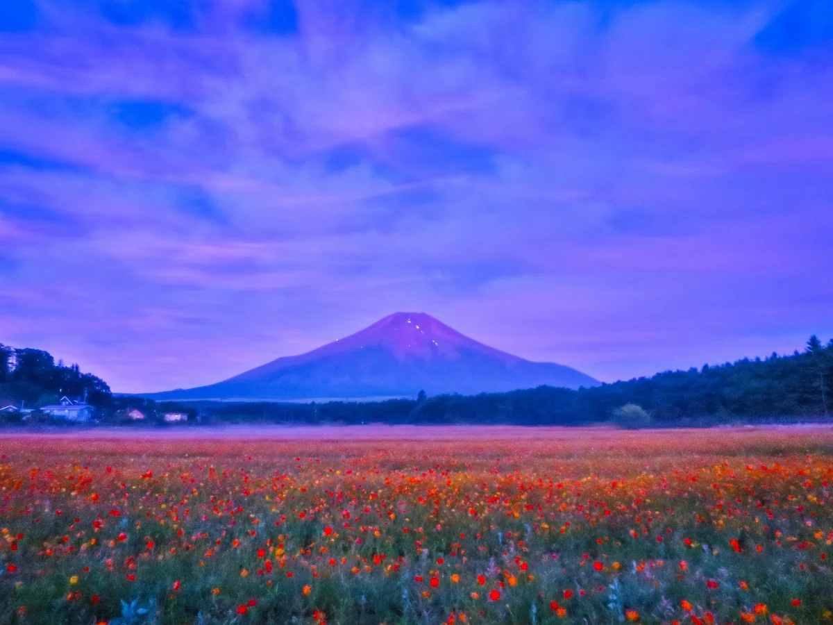 投稿写真：朝焼けの始まりと富士山