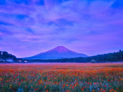  | 絶景事典