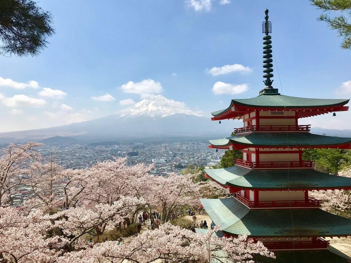 投稿写真：富士山と桜と五重の塔