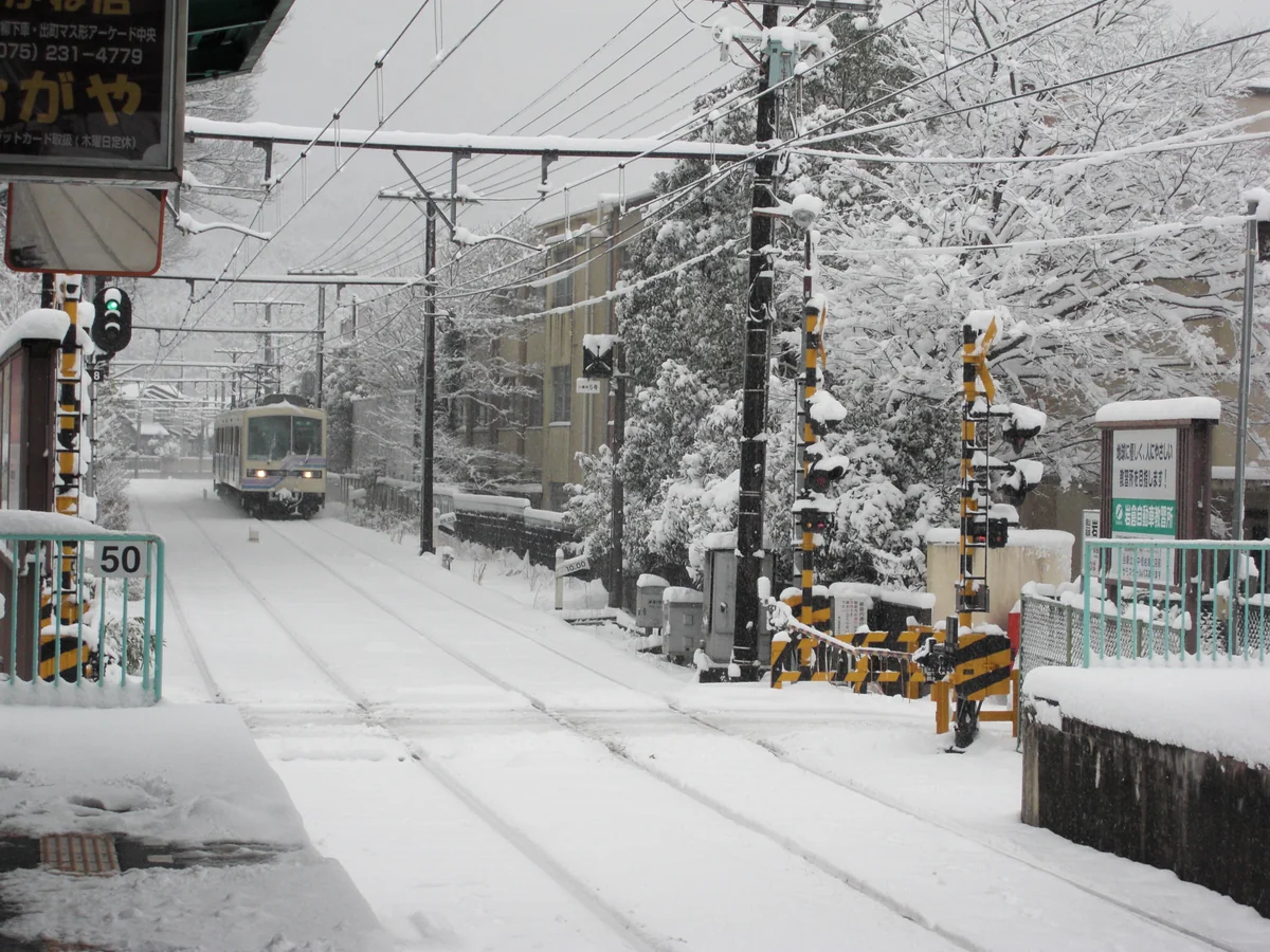 投稿写真：雪列車