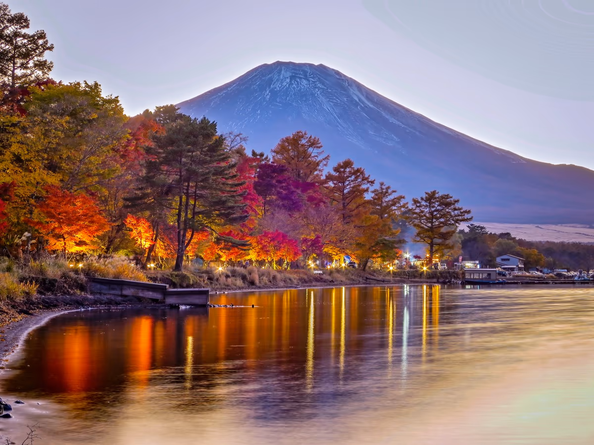 投稿写真：ライトアップされた紅葉と富士山