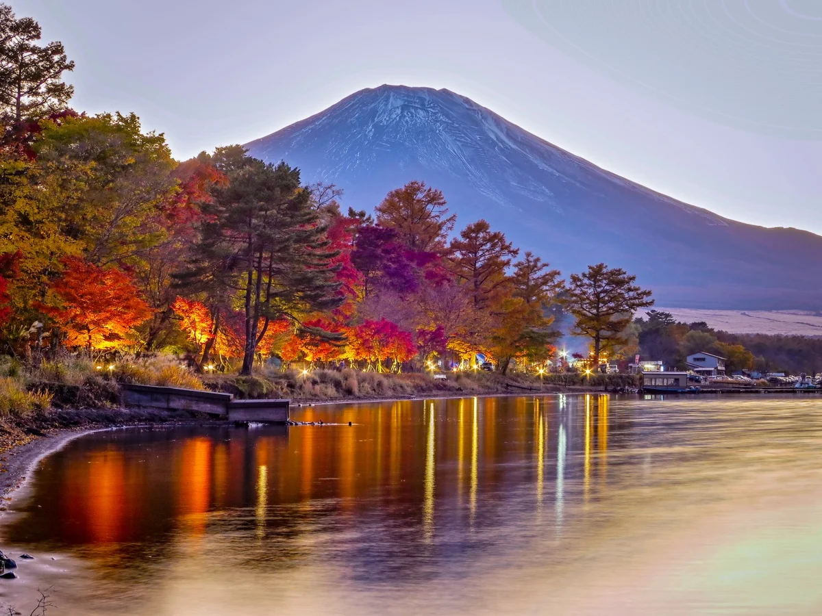 投稿写真：ライトアップされた紅葉と富士山