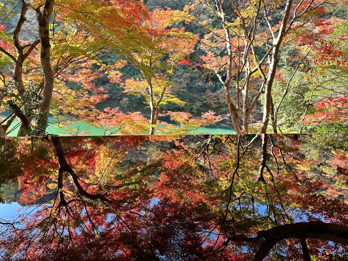 投稿写真：水盤の中の紅葉