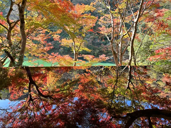 投稿：水盤の中の紅葉