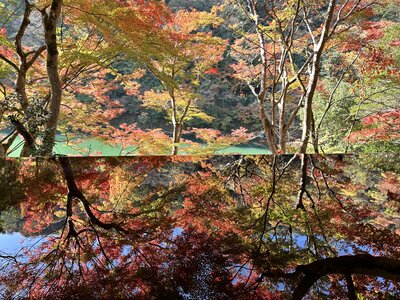  | 絶景事典