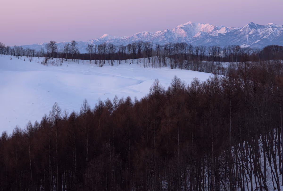 投稿写真：pink hour