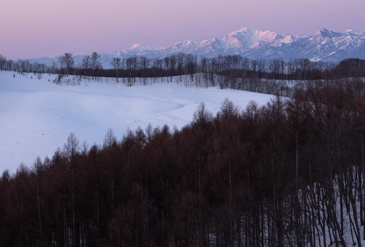 投稿写真：pink hour