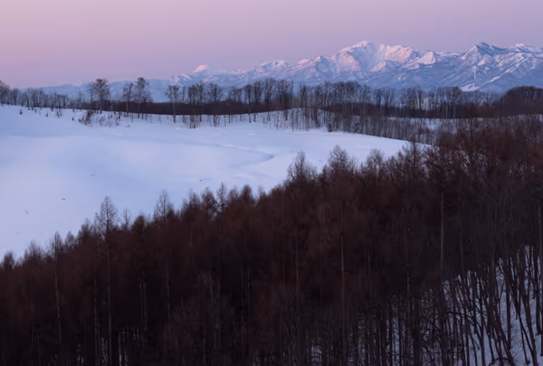 投稿：pink hour