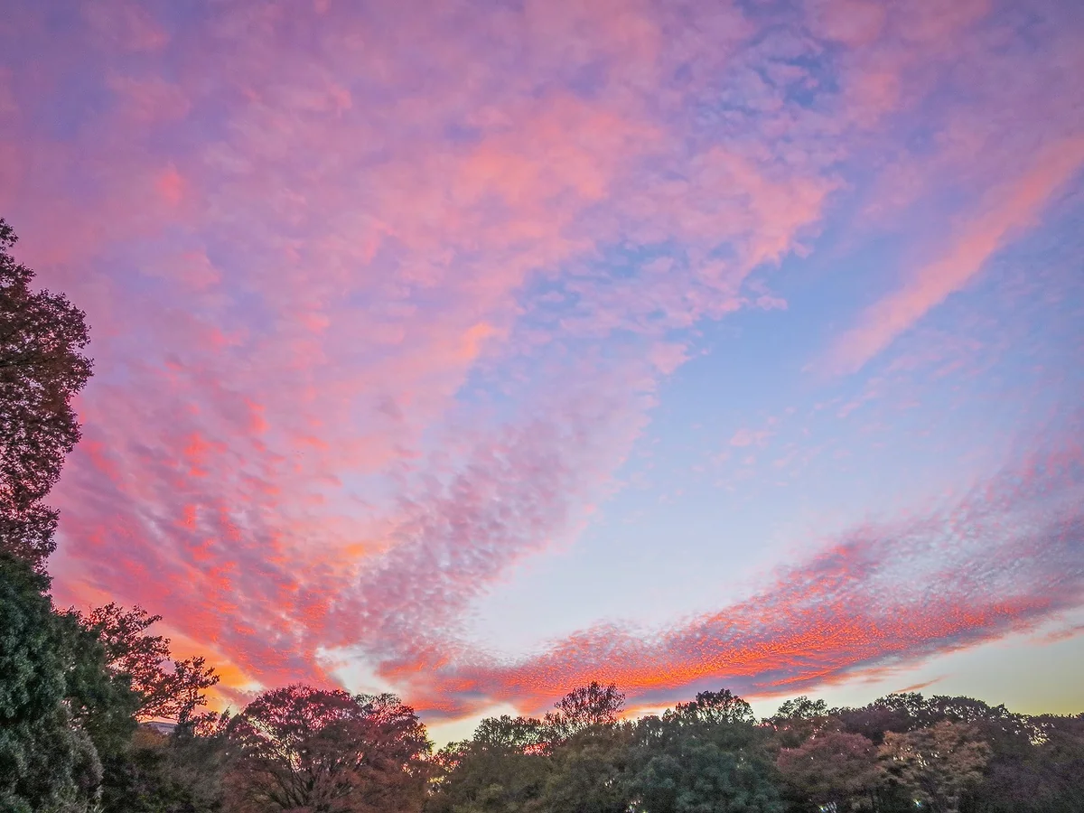 投稿写真：ピンクに染まった夕焼け雲