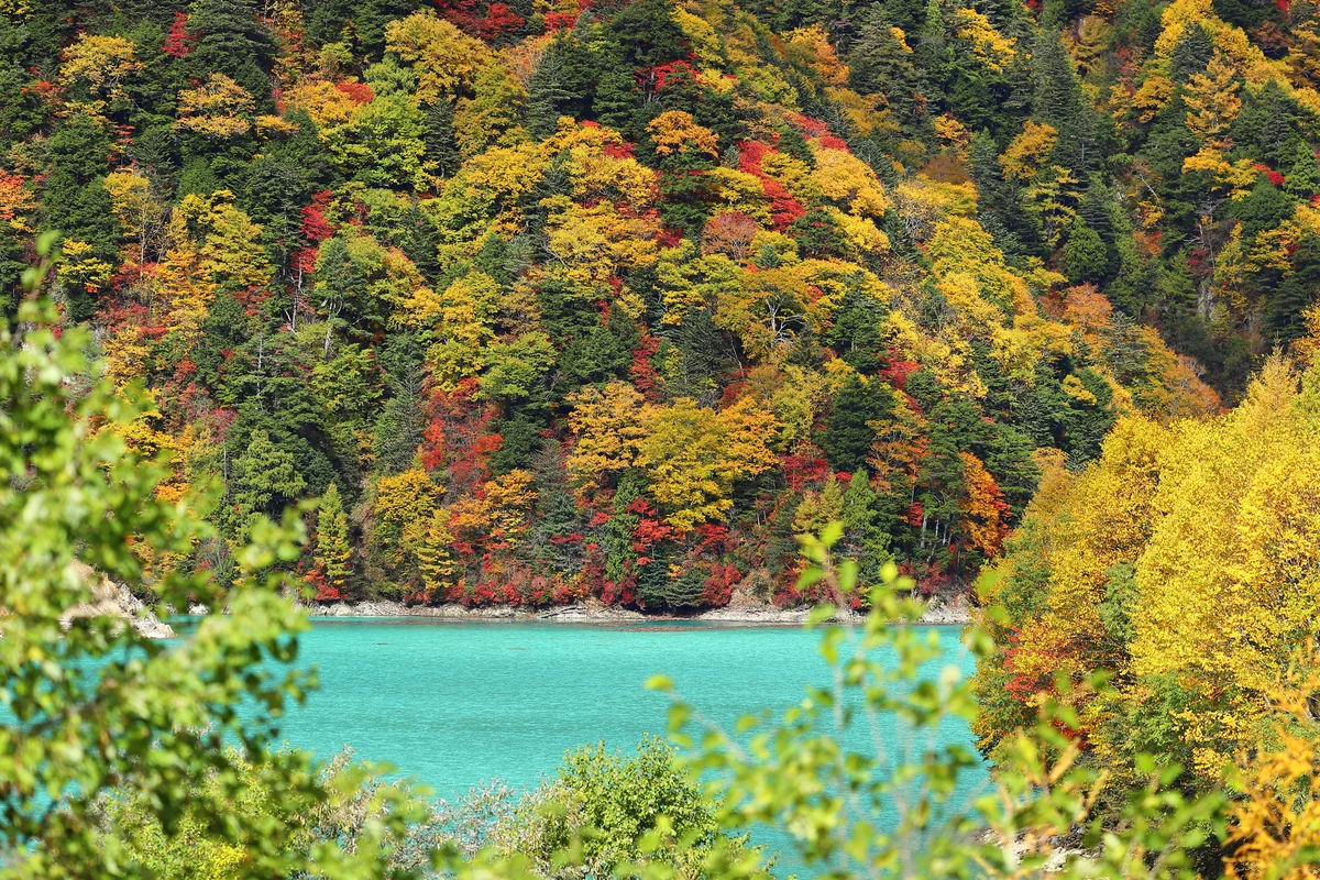 溝口 崇さんの投稿写真