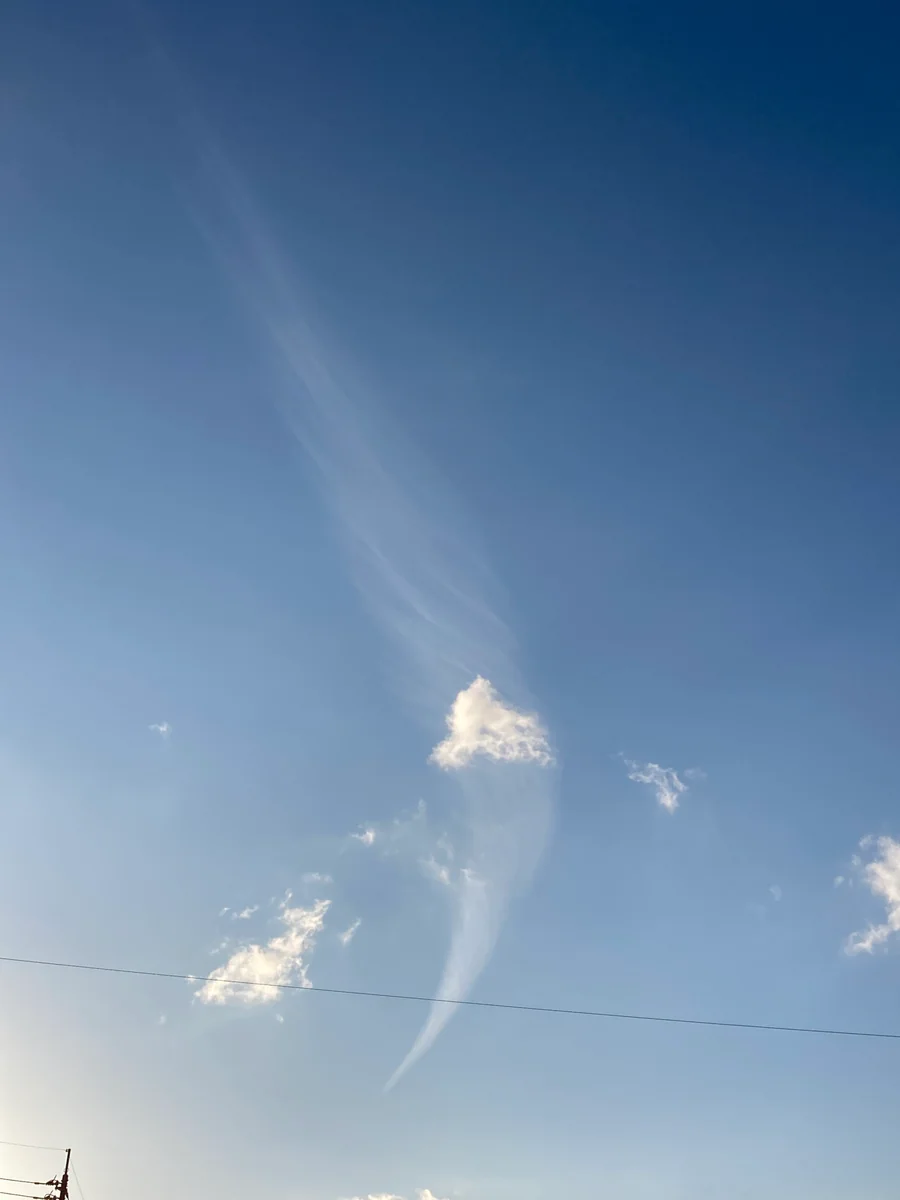 投稿写真：渦巻き？羽根？