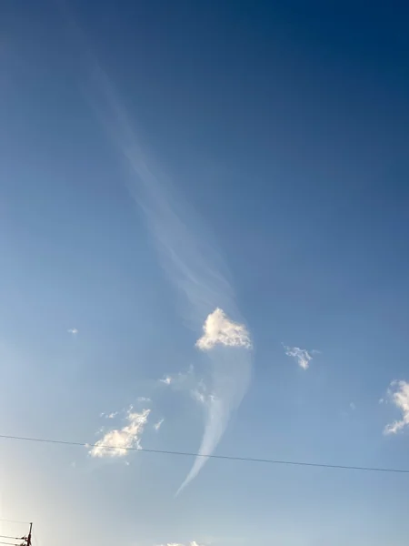 投稿：渦巻き？羽根？