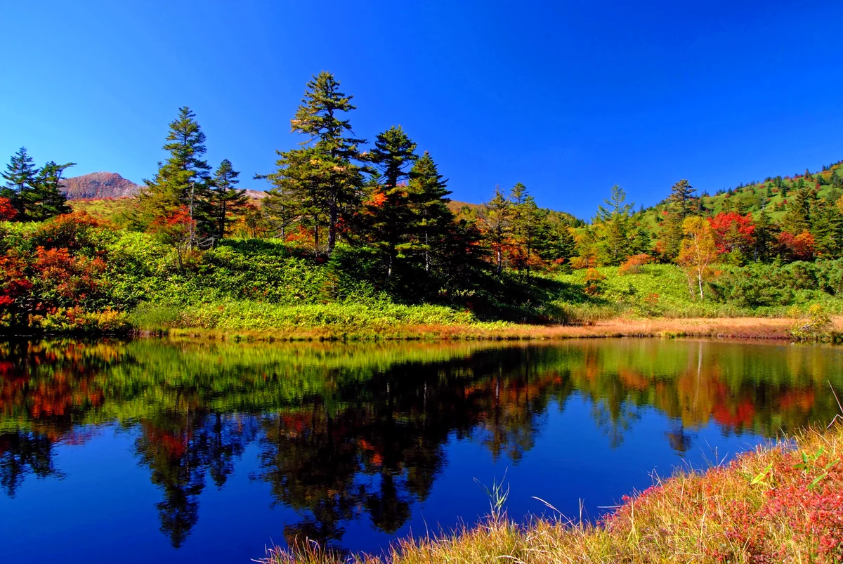 投稿写真：言葉はいらない