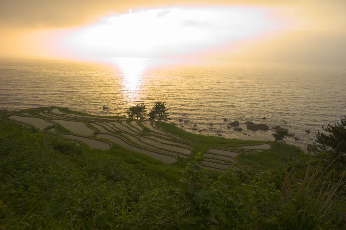 投稿写真：白米の千枚田