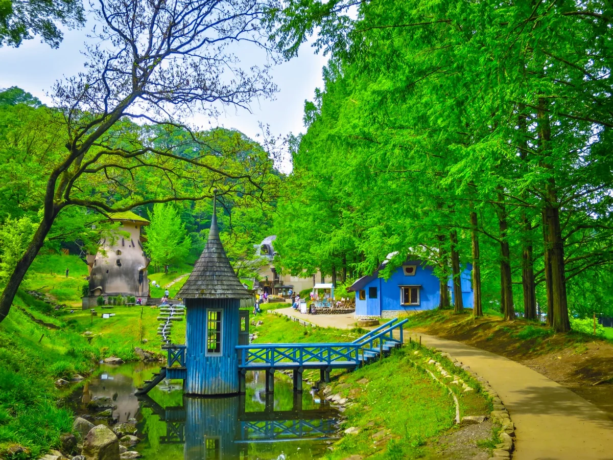 投稿写真：新緑と青い建物ときのこの家