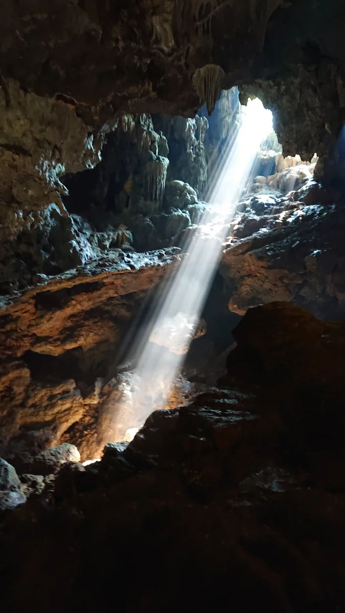 投稿写真：angel ladder