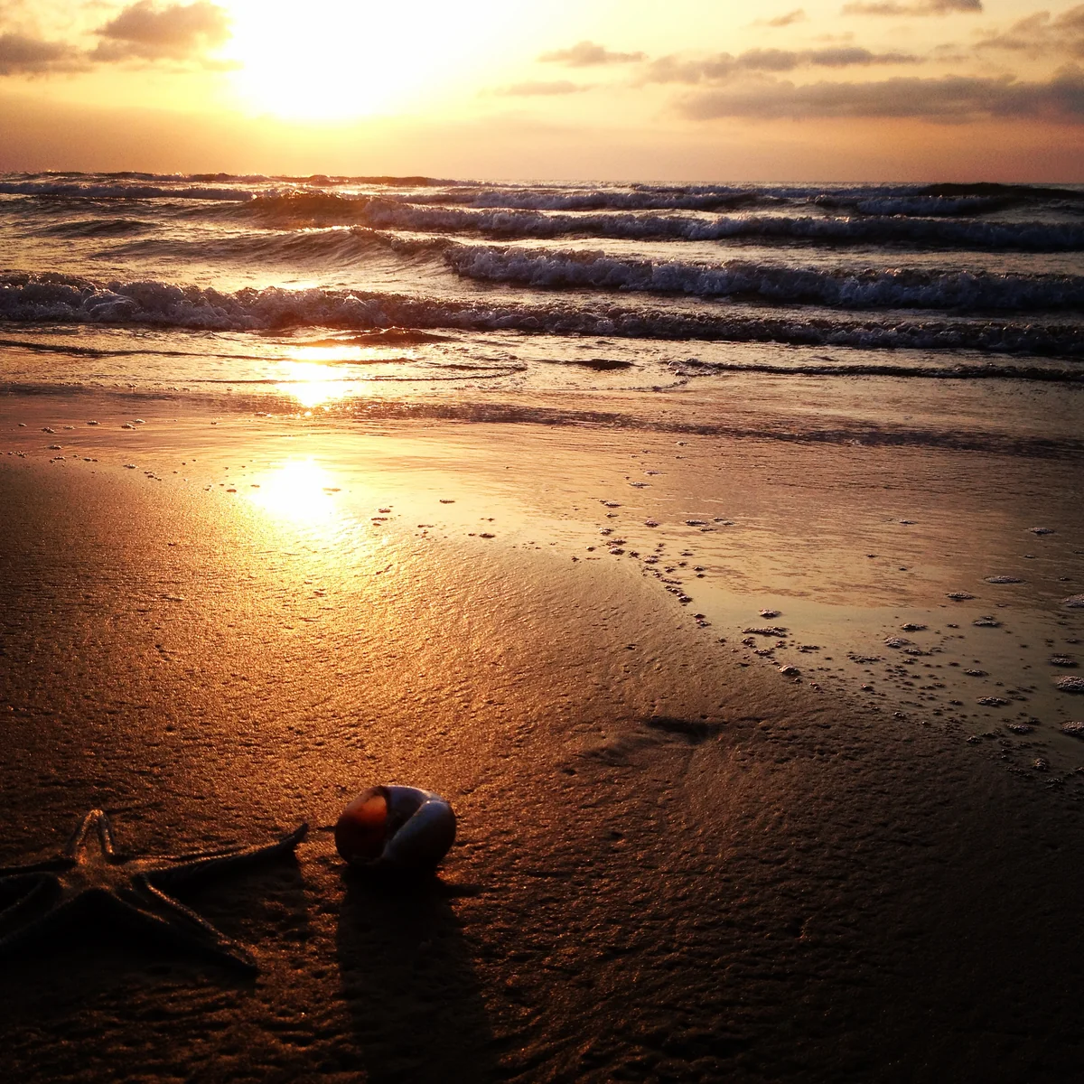 投稿写真：ある日の海辺