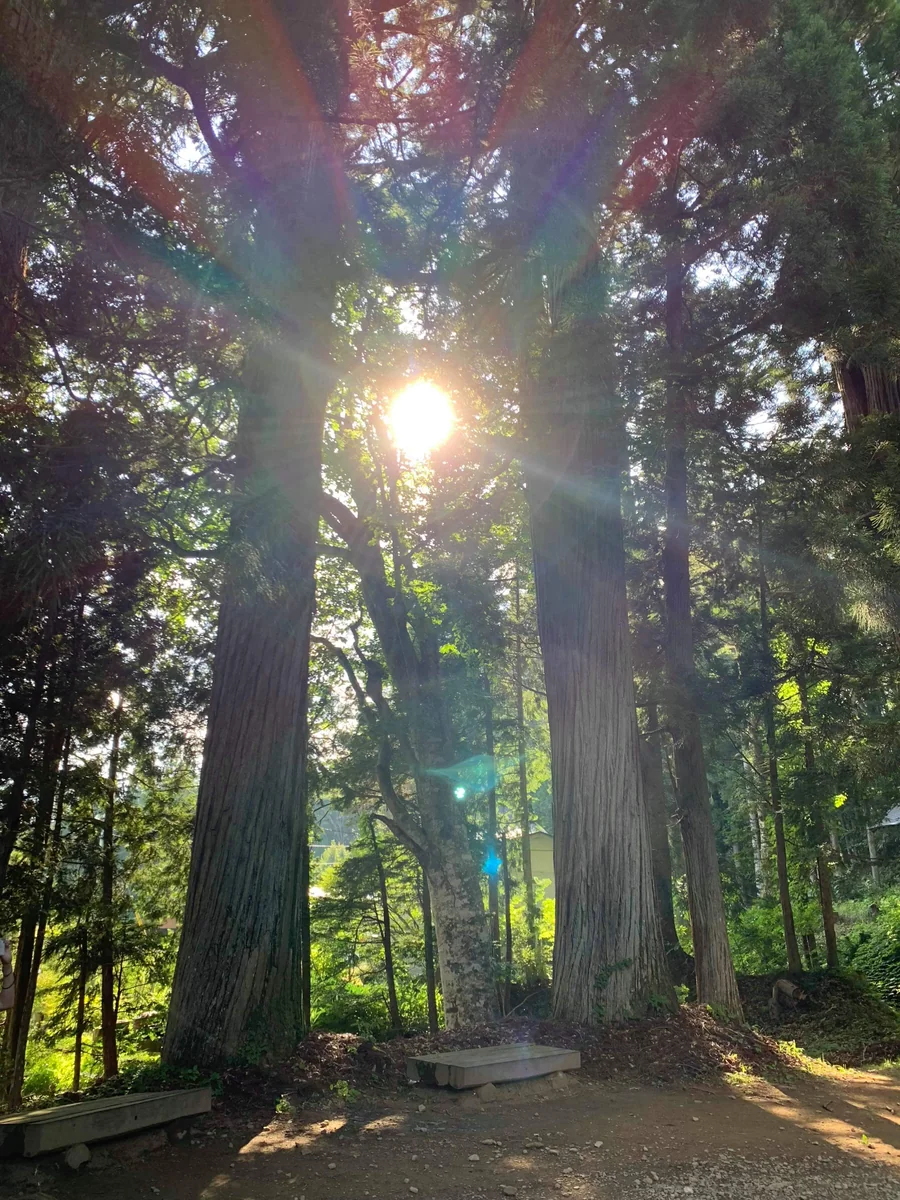 投稿写真：戸隠神社　火乃御子社