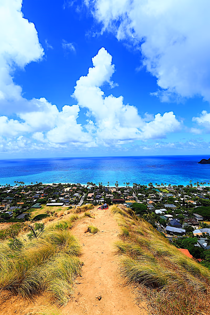 投稿写真：pillbox