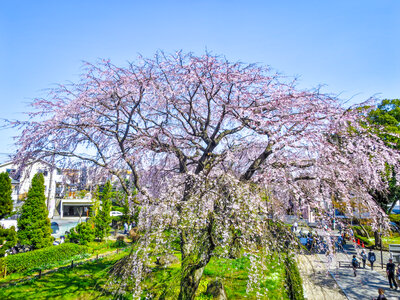  | 絶景事典