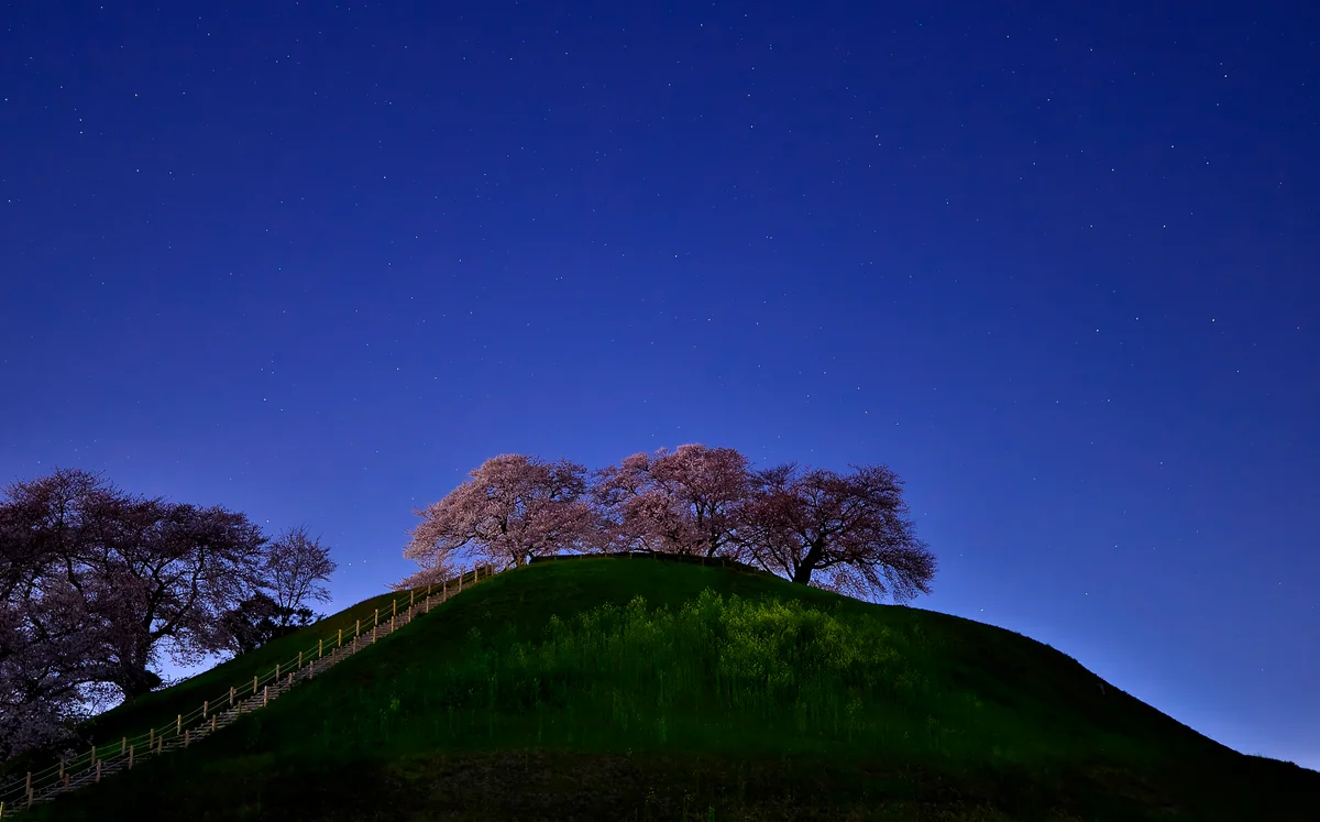 投稿写真：静寂