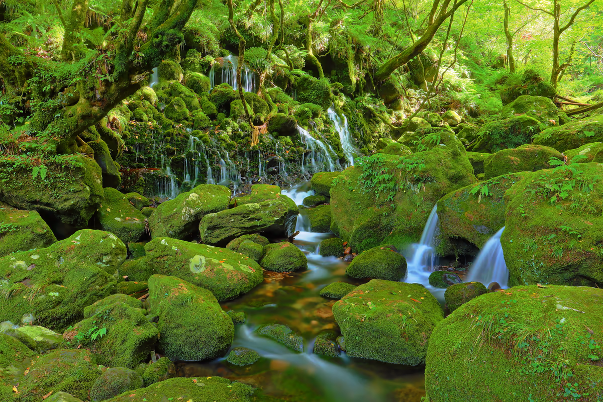 投稿写真：苔に包まれる元滝伏流水