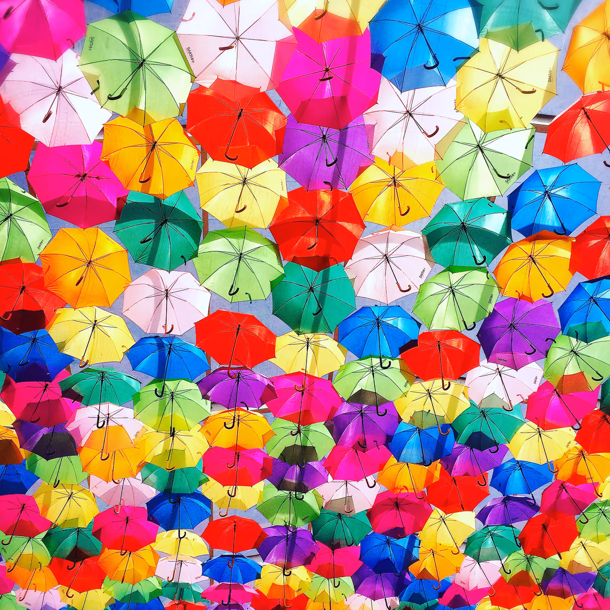 投稿写真：Agueda