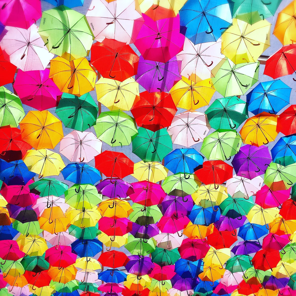 投稿写真：Agueda