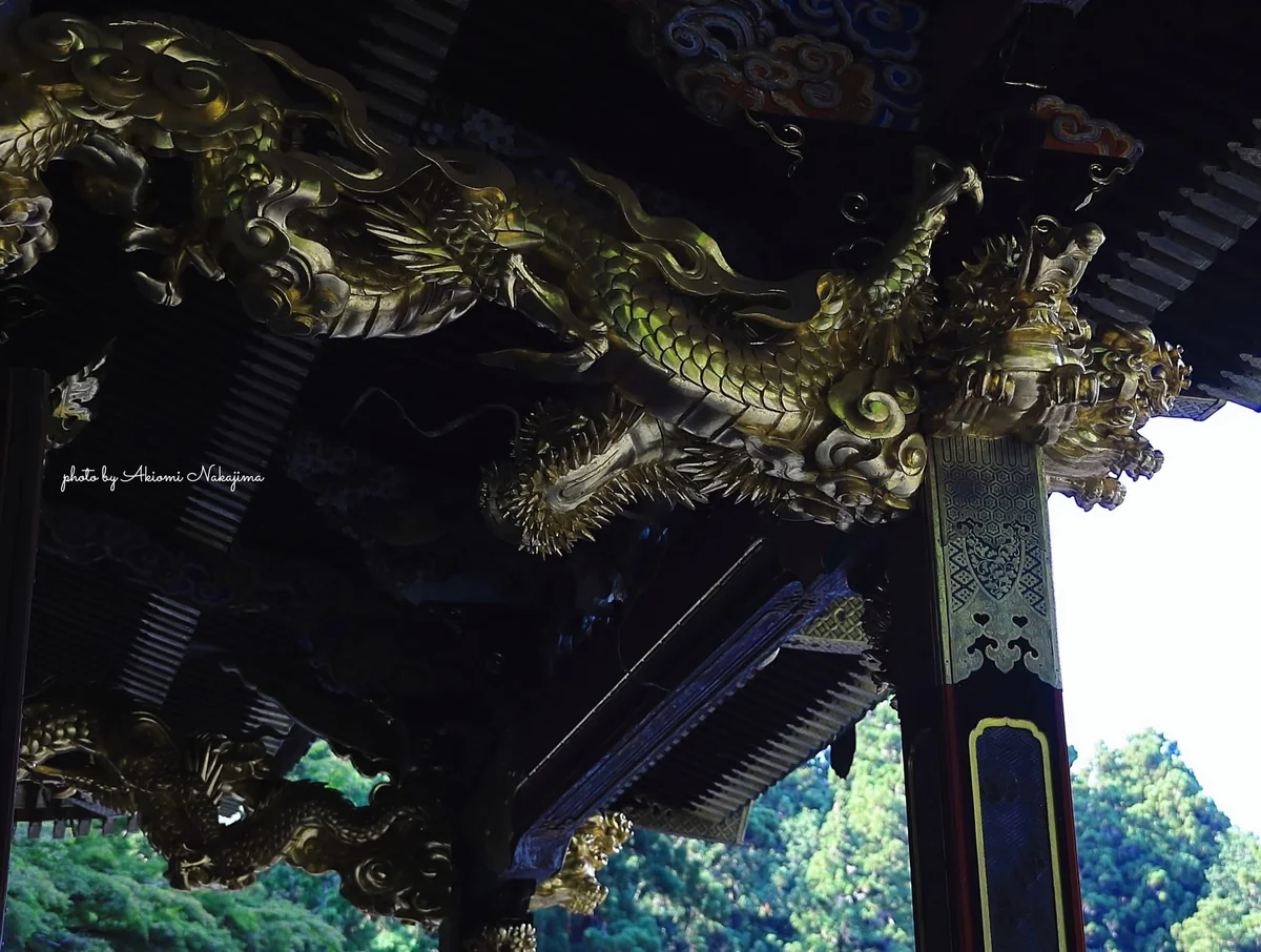 投稿写真：黄金の双龍