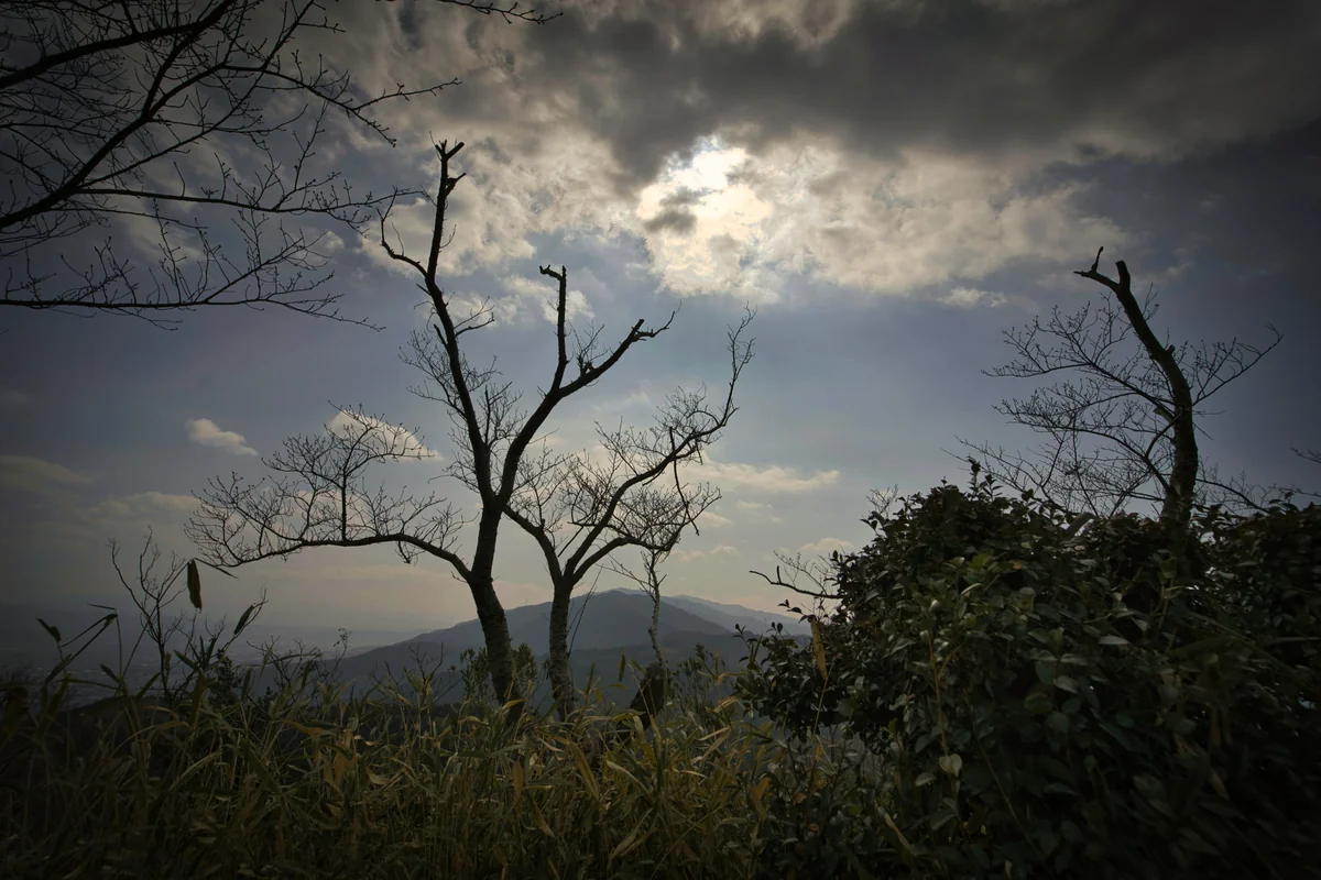 投稿写真：二上山の雌岳からの葛城山系