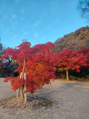 | 絶景事典