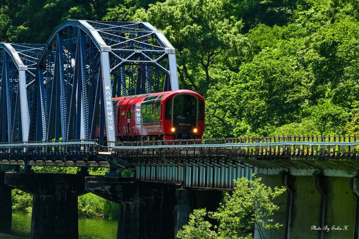投稿写真：雪月花