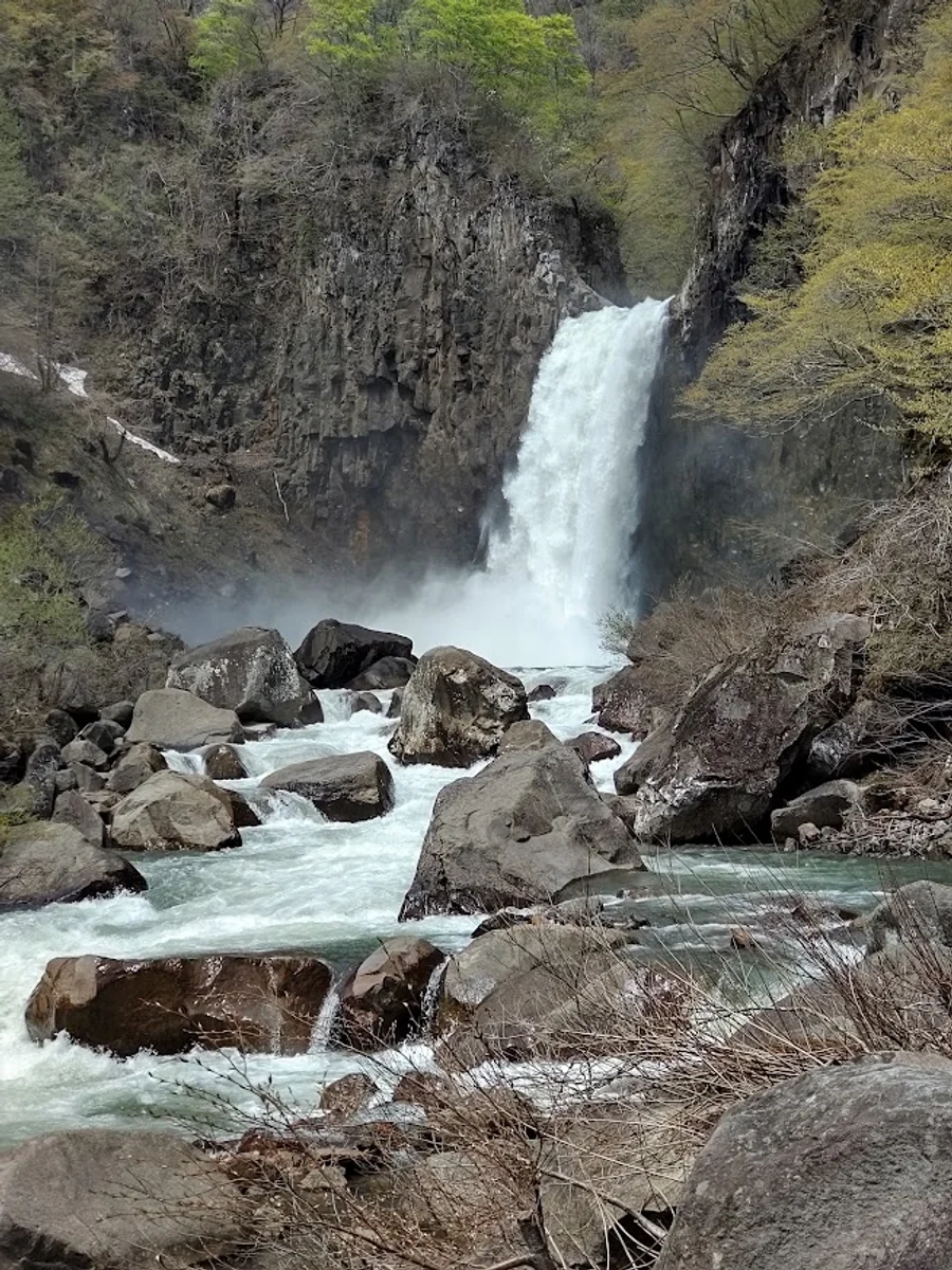 投稿写真：ダイナミック！