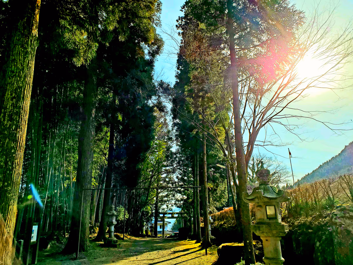 投稿写真：国造神社の入り口
