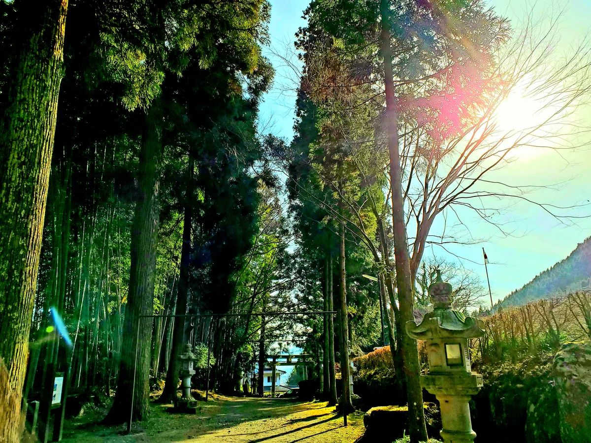 投稿写真：国造神社の入り口