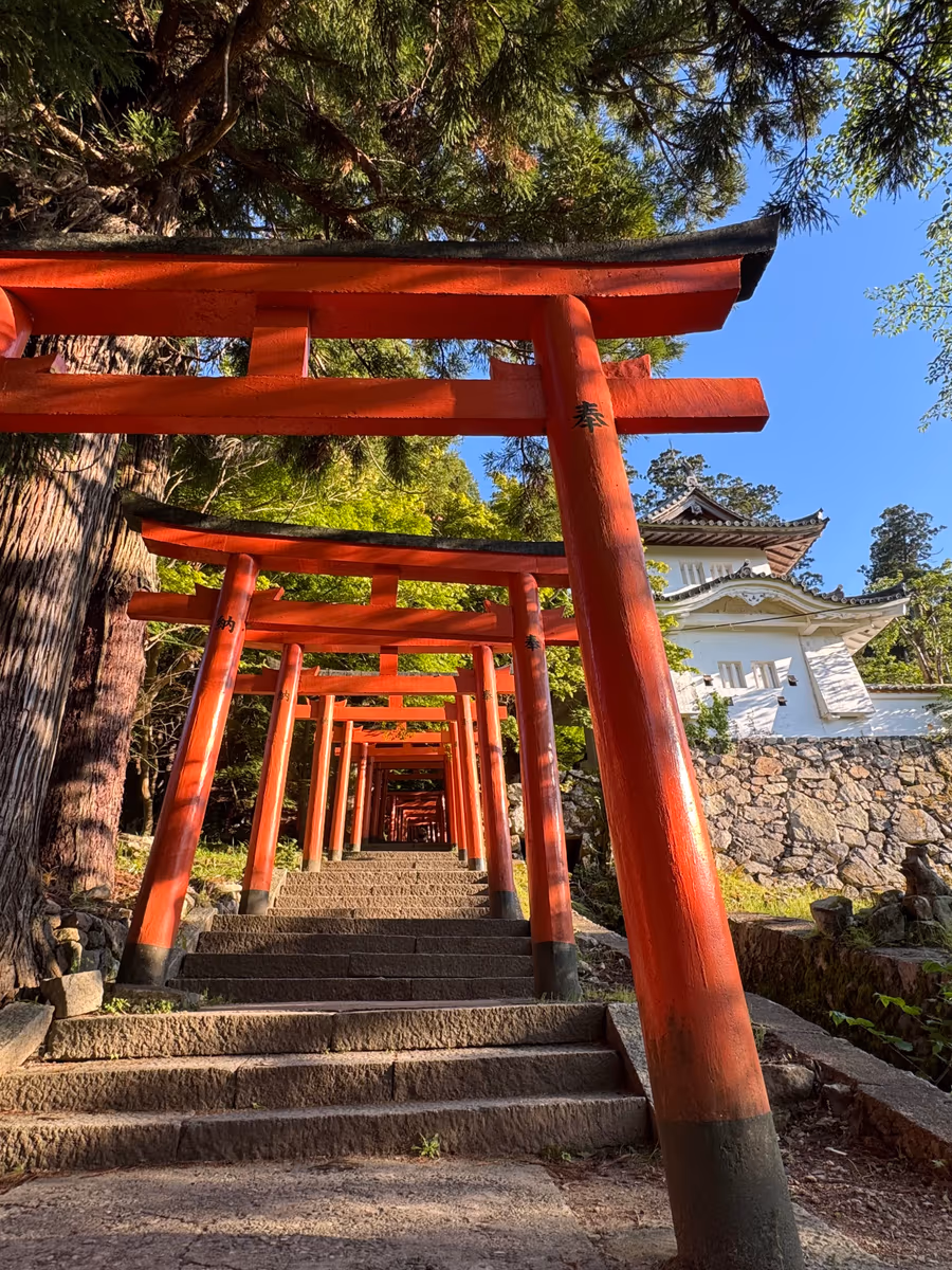 投稿写真：朱塗りの鳥居が迎えてくれる出石城跡