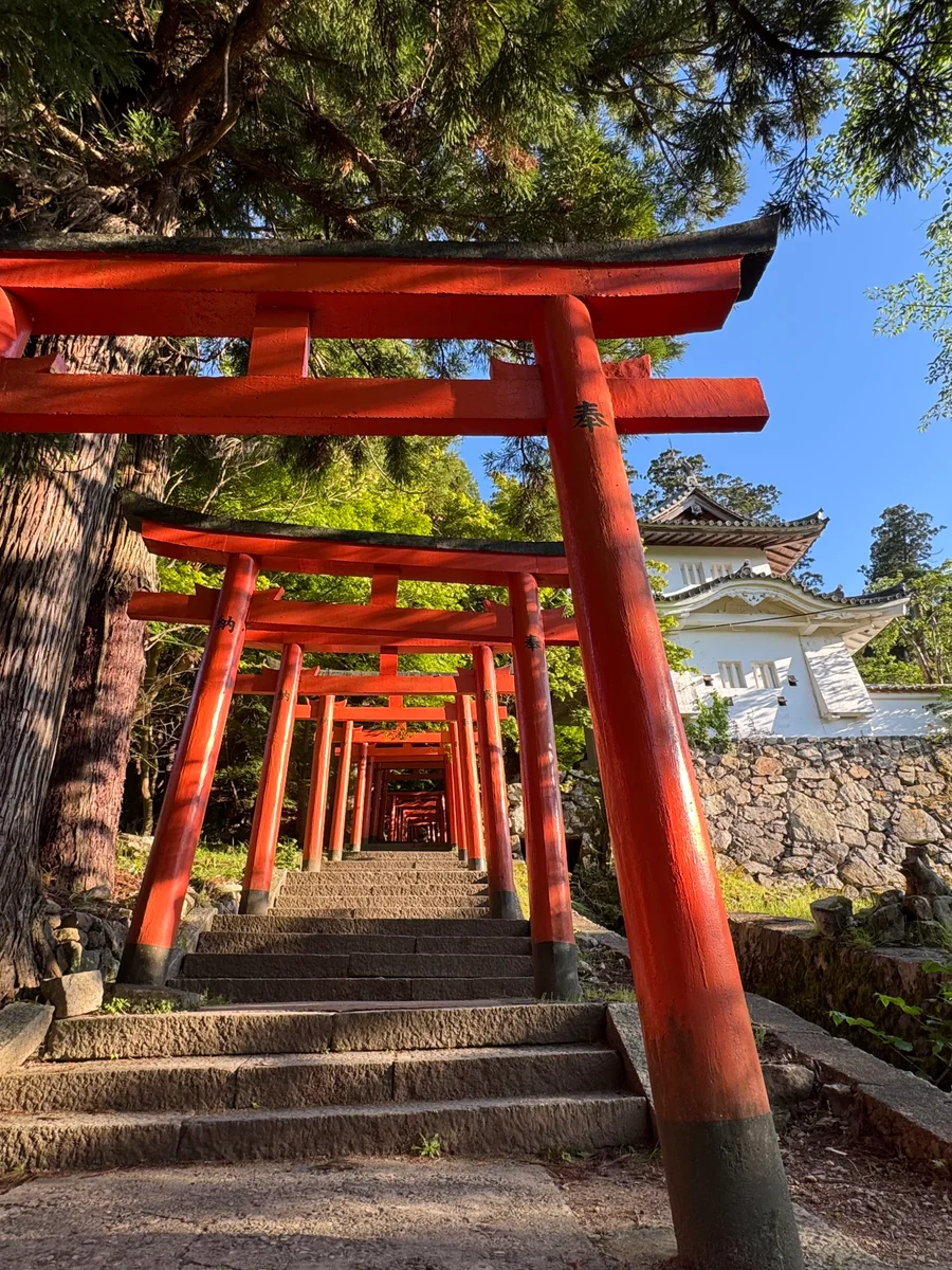 投稿写真：朱塗りの鳥居が迎えてくれる出石城跡