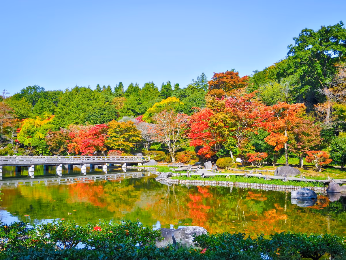 投稿写真：紅葉と木橋のリフレクション