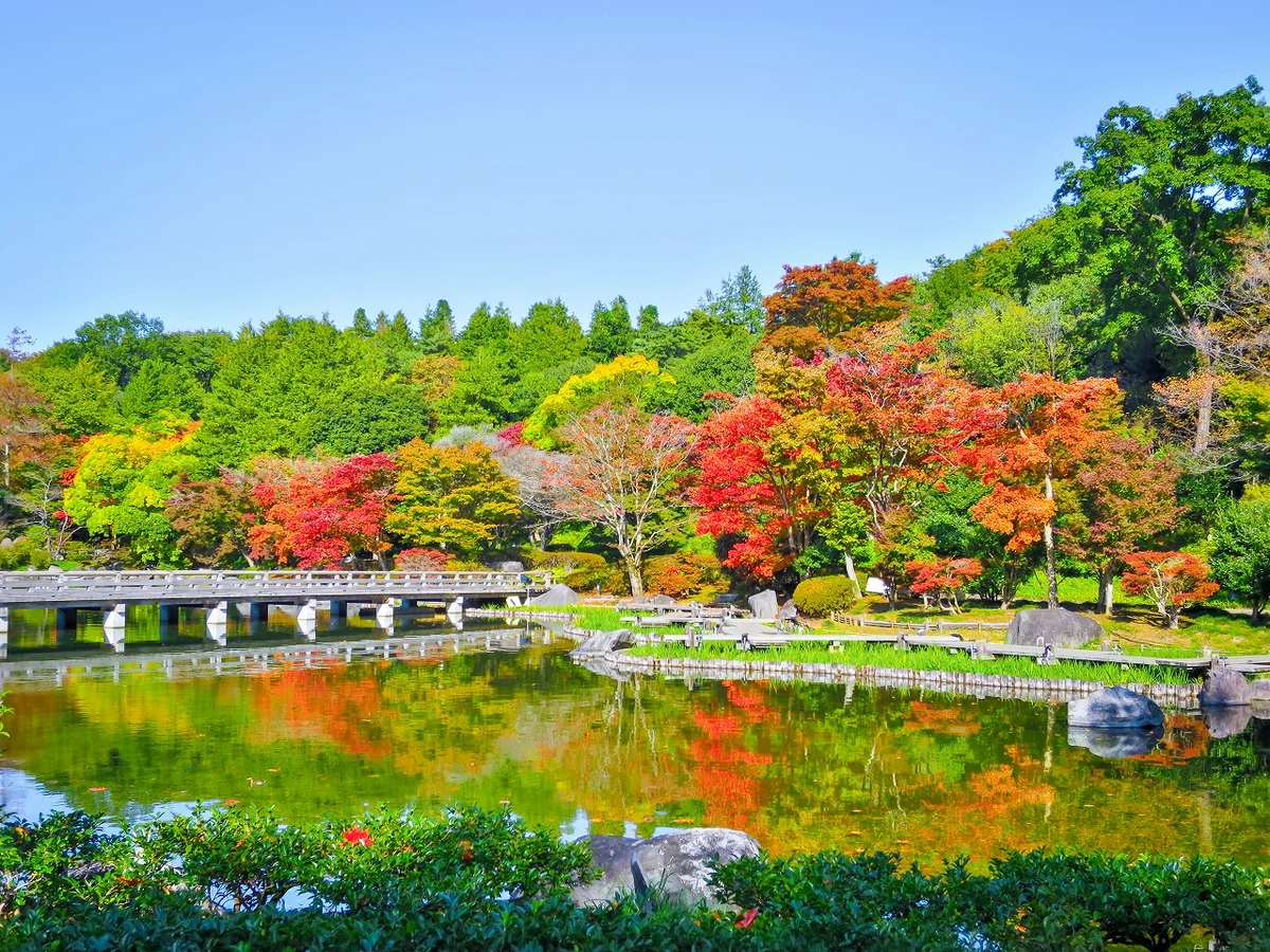 投稿写真：紅葉と木橋のリフレクション