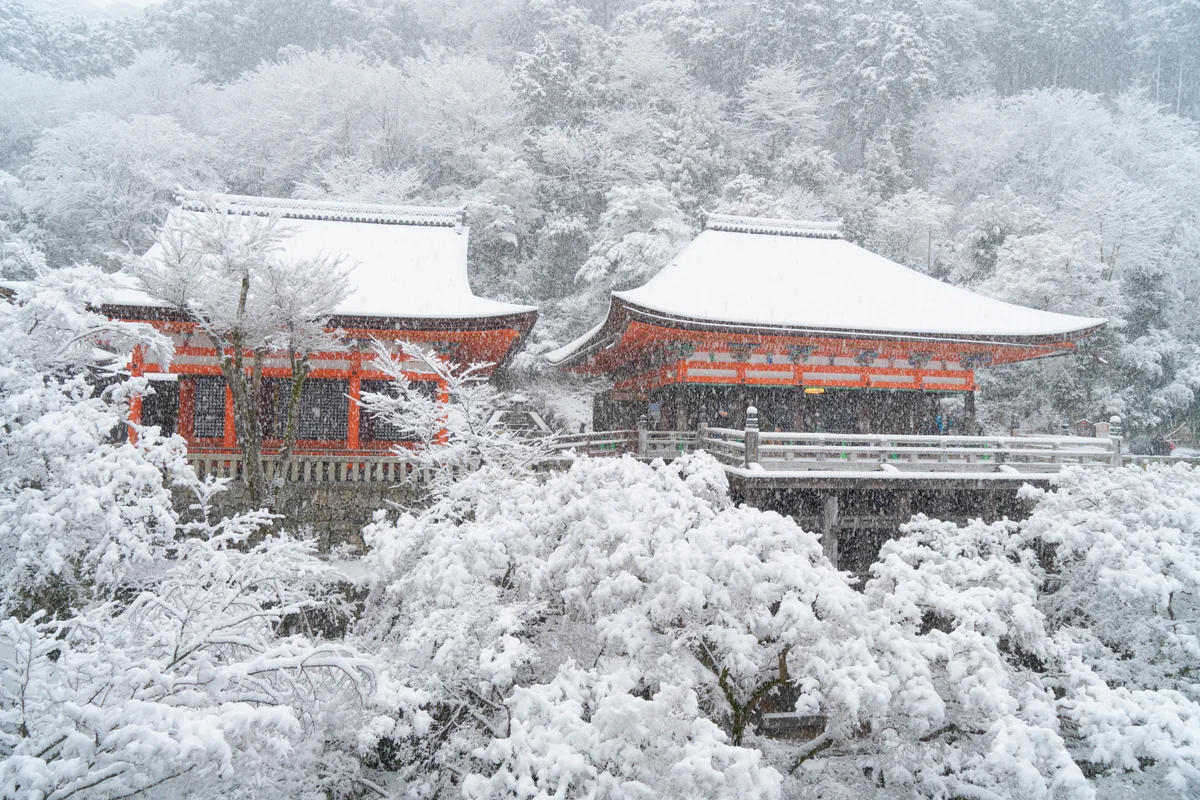 投稿写真：雪の清水寺　奥の院