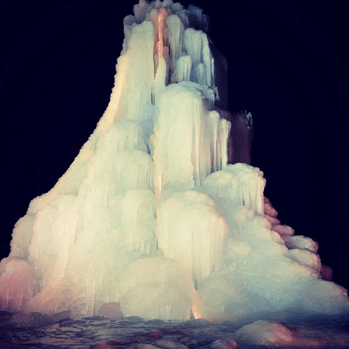 投稿写真：野鳥の森公園の樹氷