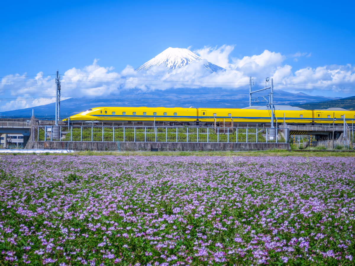 投稿写真：ドクターイエロー蓮華畑を走る