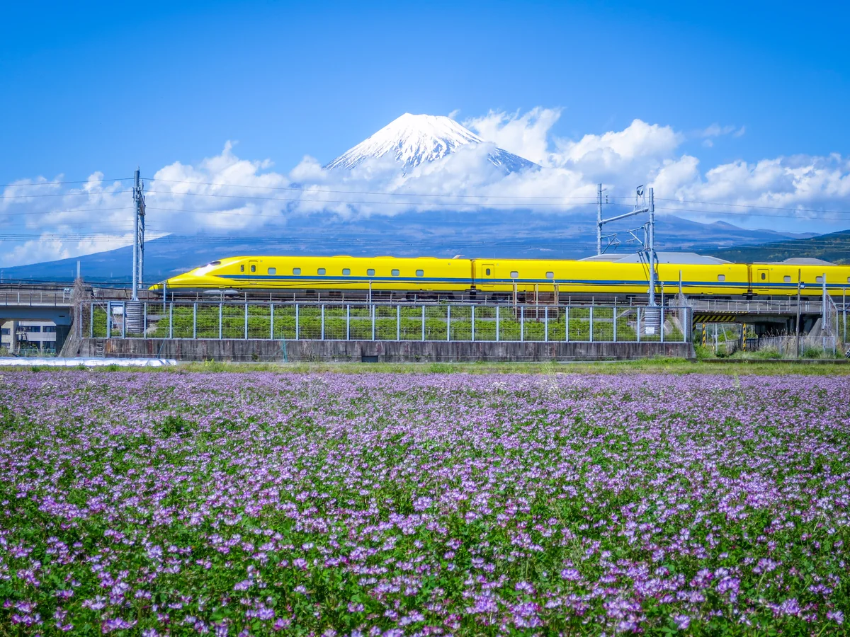 投稿写真：ドクターイエロー蓮華畑を走る