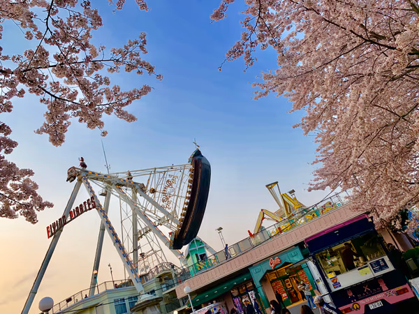 投稿：桜