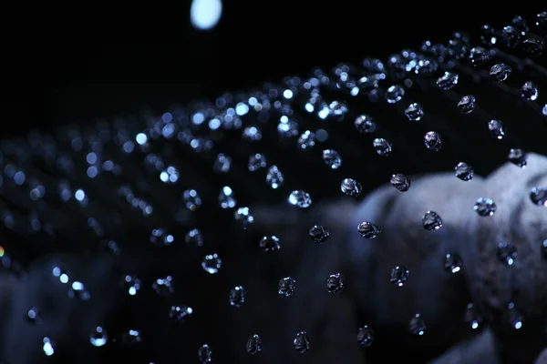 投稿：高森湧水トンネル公園