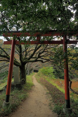  | 絶景事典