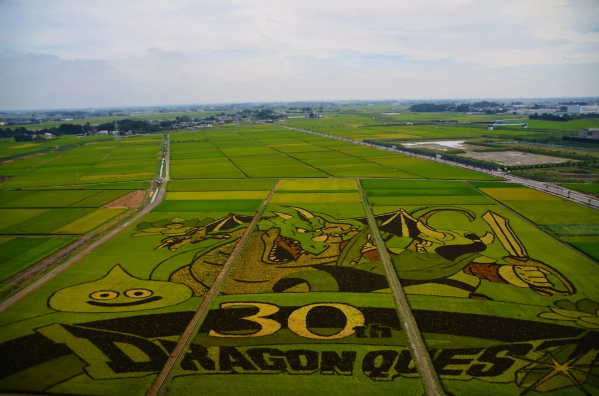 投稿写真：田んぼアート